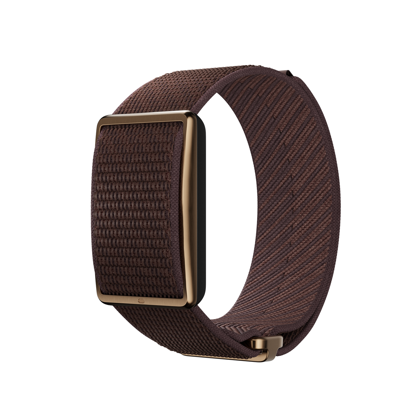 Nueva pulsera Polar Loop