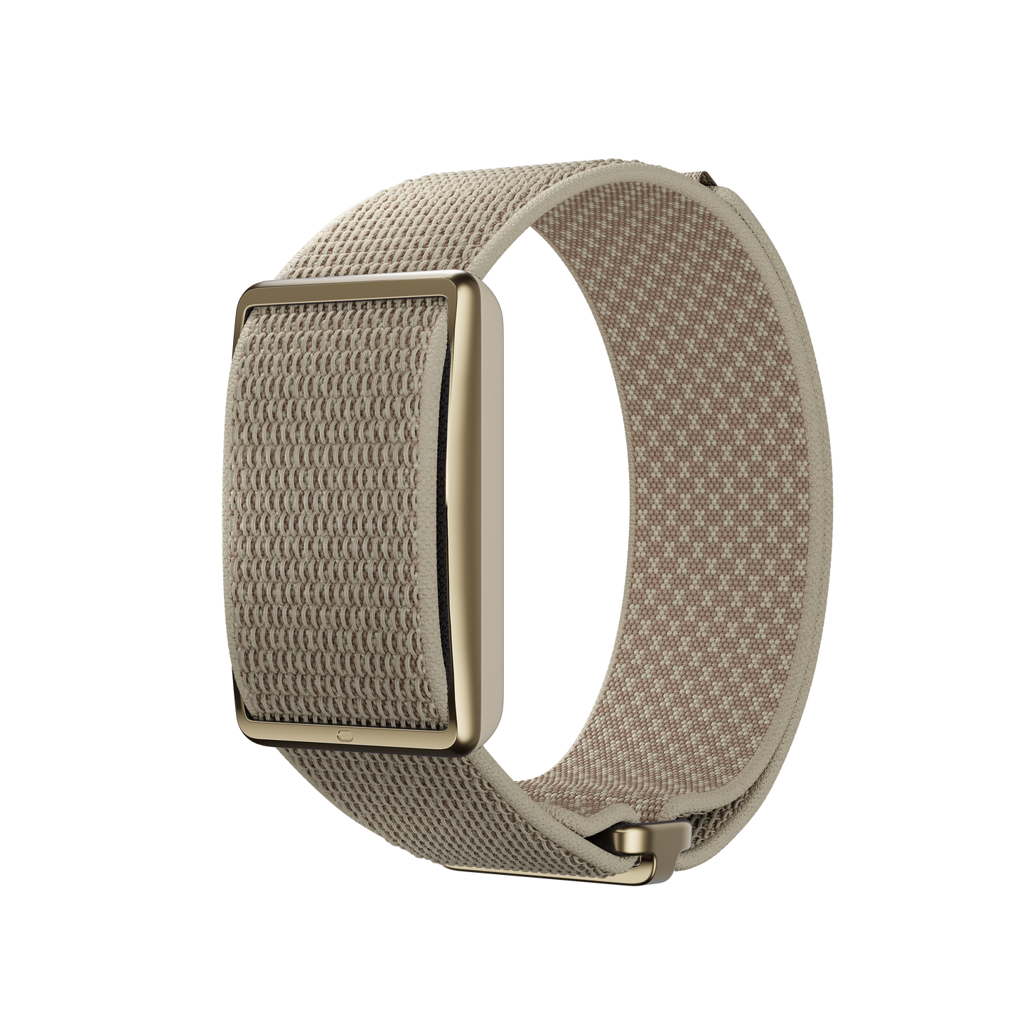 Nueva pulsera Polar Loop